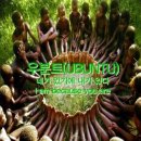 용인대석사타이곤태권도 이미지