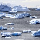 남극회관 이미지