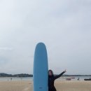 제주서핑 : 표선해수욕장놀거리 끝판왕 '표선서핑스쿨' 솔직후기