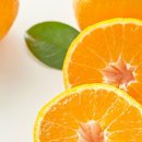 수복농장 이미지