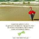 내가본꽃씨 이미지