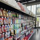 야옹아멍멍해봐 강아지고양이 군산점 | [야옹아멍멍해봐 율량본점] 강아지, 고양이 프리미엄 아울렛 방문 후기