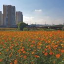 대전천북로 이미지