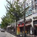 새롬스타빌 이미지