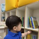 훈육 | 15개월 아기 첫 훈육 후기, 머리 쥐어뜯고 때리는 습관 고친 방법