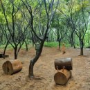 선우공원 생태연못 화장실 이미지