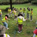 더푸른유치원 이미지