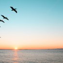 자유-희망 이미지