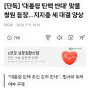 탄핵반대청원 등장 이미지