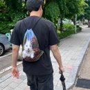 효원사료 | 5월 하반기