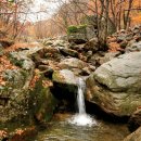 도사곡휴양림 이미지