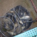 소로낚시터 이미지