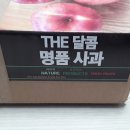 마켓민팅 | 마켓민팅 청송사과 선홍빛이 이쁜 꿀사과 아삭 달콤하니 맛있어
