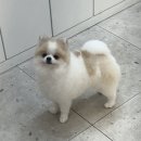 올데이 멍데이 이미지