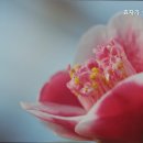 효자실버요양원