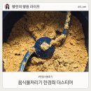 음식물처리기 추천 한경희 더스티머 한달 사용후기
