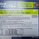 이원약국 이미지