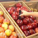 주당도가 네이버블로그