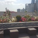 제우빌딩 이미지