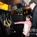 도심속바다풍경 이미지
