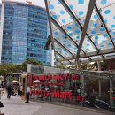 동대약국 | 베트남 하노이 롯데마트 쇼핑리스트 Best 7｜하노이 여행 필수 기념품 추천