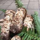 이보푸드 이미지