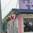 딸기야 | 고령IC 딸기 판매장 추천｜안녕딸기야 7번 딸기 후기