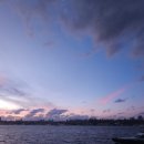 유로(YoLo) 이미지