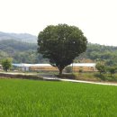 만년사슴농장 이미지