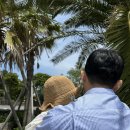 카페둘레 - 27102 | 8개월 아기랑 제주도 여행 코스 : 산방산 원앤온리카페 송악산 둘레길 유모차 후기