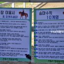 세종시장군승마장
