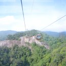 모든카프라자 | 다낭 바나힐 입장권 이동 현지 렌트카 이용했던 후기