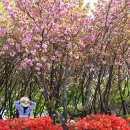 달래 어린이공원 이미지