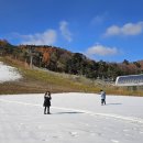 무주펜션 풀빌라 숲빛 이미지