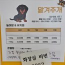 놀면뭐하개 이미지