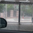 틴팅가이 이미지