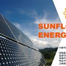 고산태양광발전소 이미지