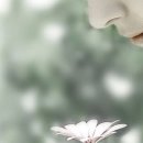 그대애개 이미지