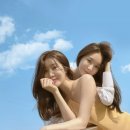 썸 Daum카페