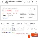 본드일드