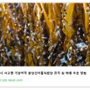 중앙건어물