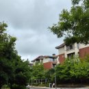 성산패밀리하우스 | 편한 제주숙소! 제주 신화월드 서머셋 패밀리 스위트 온돌 후기