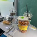 새롬농원 | 춘천 뚜벅이 당일치기 여행 : 강원특별자치도립화목원, 닭볶음탕맛집, 액티비티, 카페추천