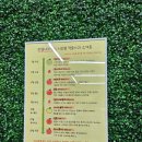 사과창꼬