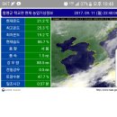 비나인 Daum카페