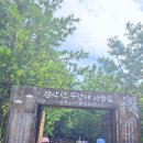 10월1일(목)감악산 무장애길,아스타국화,구절초 이미지