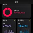 헤어나라선 | 우당탕탕 오사카 여행 (5.6~5.9)/ 각종 위치 공유