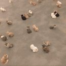 트윈비치펜션