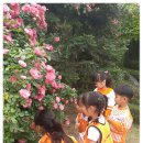 시화리라유 이미지