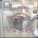 워시팡팡셀프빨래방광주